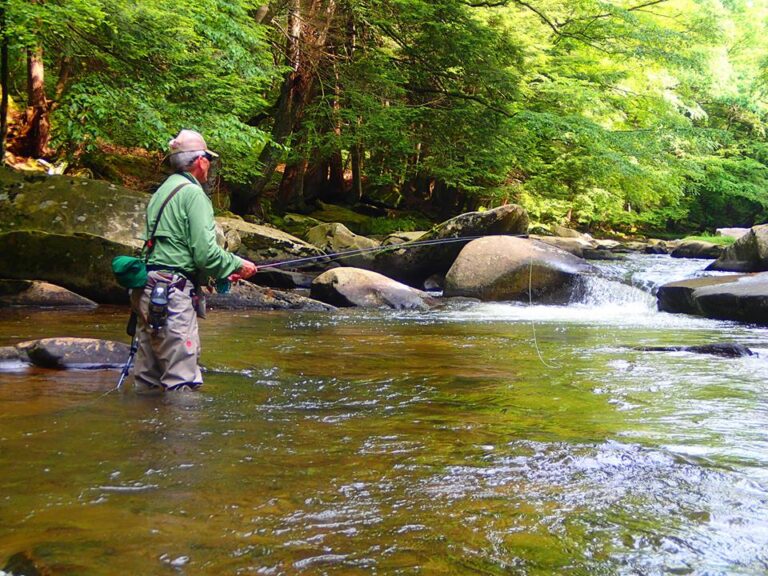 The “Must-Cast” Top 5 Fishing Spots
